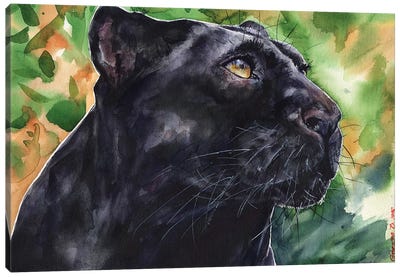 Panther Canvas Art Print - George Dyachenko