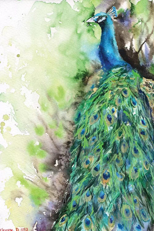 Peacock by George Dyachenko wall art