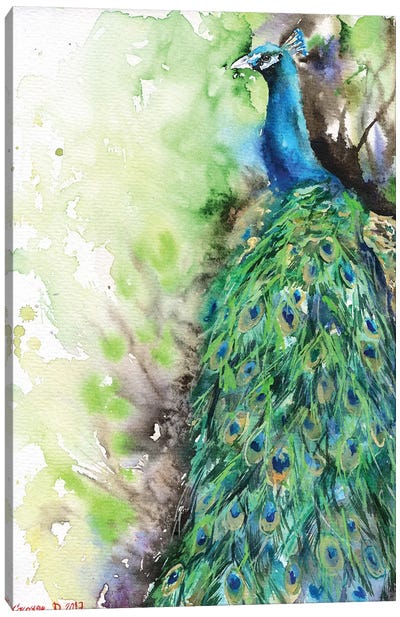 Peacock Canvas Art Print - George Dyachenko