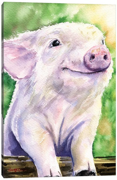 Piggy Canvas Art Print - Pig Art