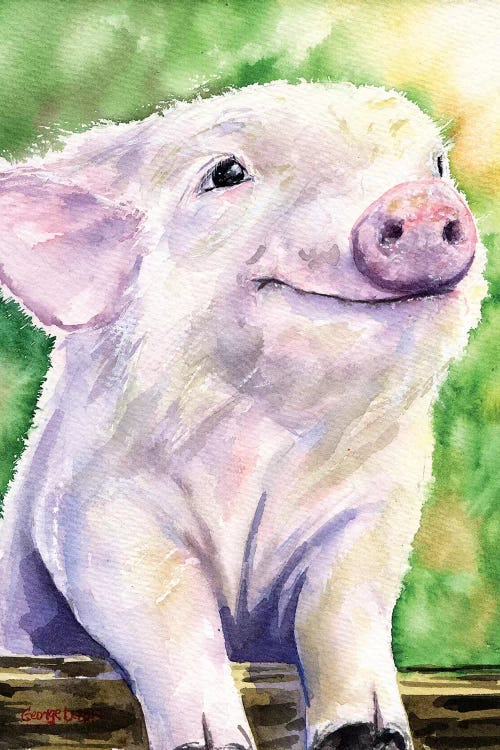 Piggy by George Dyachenko wall art