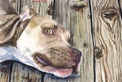 Pitbull by George Dyachenko art print