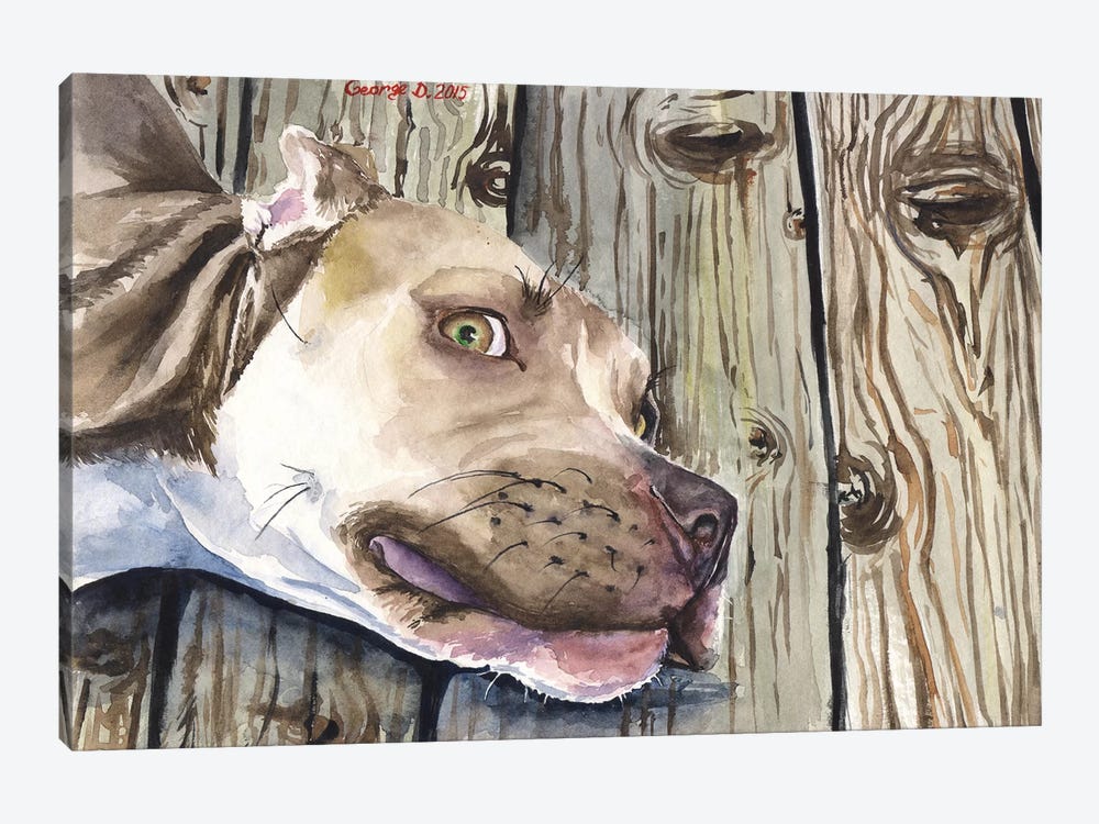 Pitbull by George Dyachenko 1-piece Canvas Print