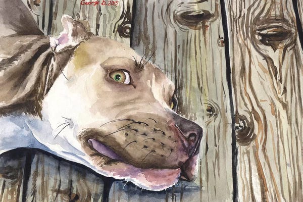 Pit Bulls: Pitbull by George Dyachenko
