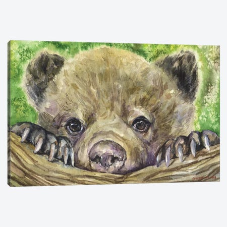 Bear Cub Canvas Print #GDY11} by George Dyachenko Canvas Wall Art