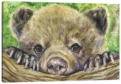 Bear Cub Canvas Art Print - George Dyachenko