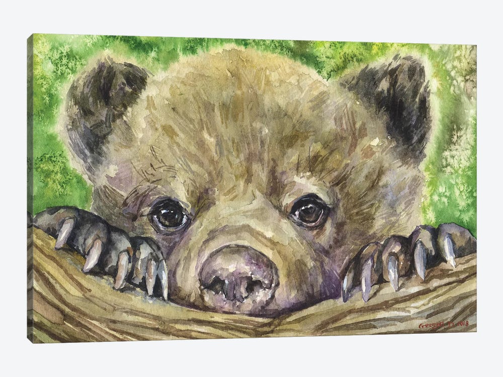 Bear Cub by George Dyachenko 1-piece Canvas Wall Art
