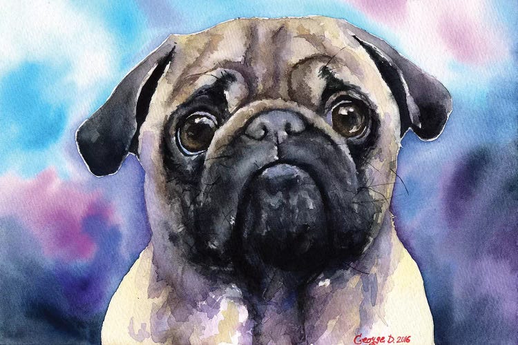 Pug