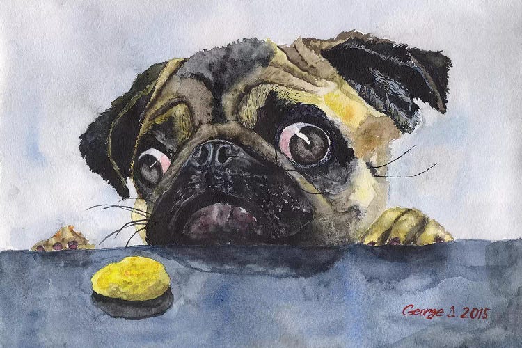 Pug And Cookie