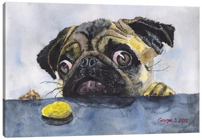 Pug And Cookie Canvas Art Print - George Dyachenko