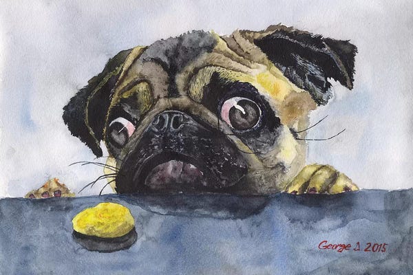 Chocolates: Pug And Cookie by George Dyachenko