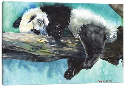 Relax Canvas Art Print - Panda Art