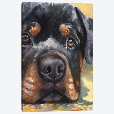 Rottweiler Canvas Print #GDY128} by George Dyachenko Canvas Print