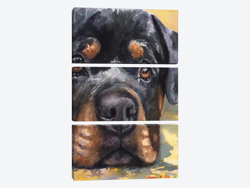 Rottweiler by George Dyachenko 3-piece Art Print