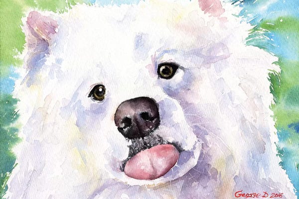 Samoyeds: Samoyed by George Dyachenko