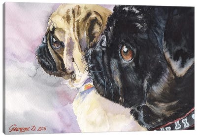 Black And White Canvas Art Print - Best Selling Dog Art