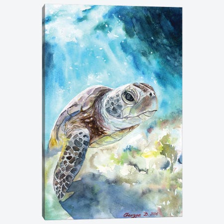 Sea Turtle Canvas Print #GDY130} by George Dyachenko Canvas Wall Art