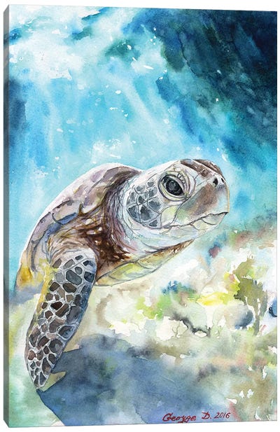 Sea Turtle Canvas Art Print - George Dyachenko