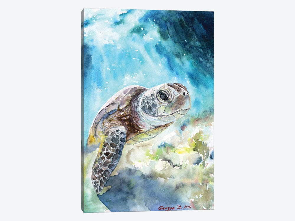 Sea Turtle by George Dyachenko 1-piece Canvas Wall Art