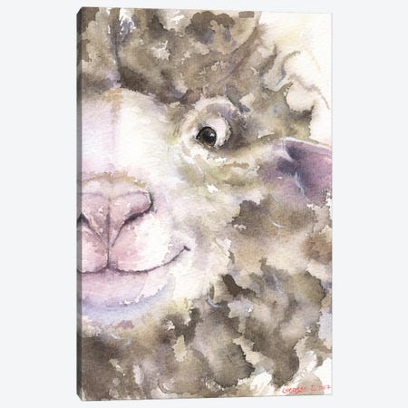 Sheep Canvas Print #GDY131} by George Dyachenko Canvas Artwork