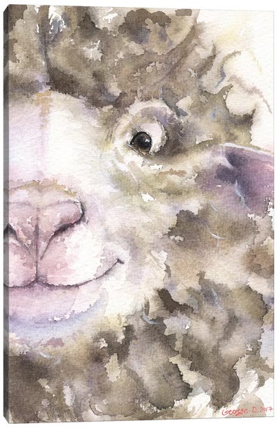 Sheep Canvas Art Print - George Dyachenko