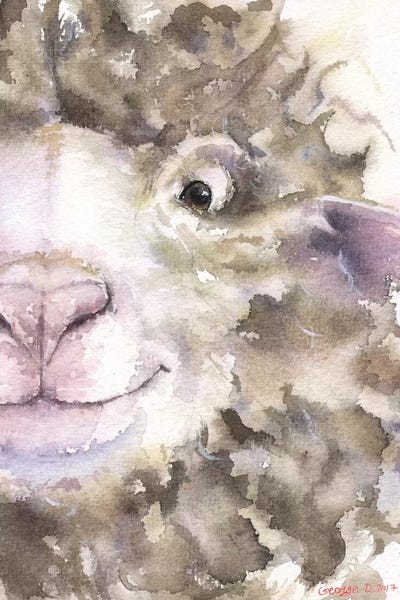 Sheep: Sheep by George Dyachenko