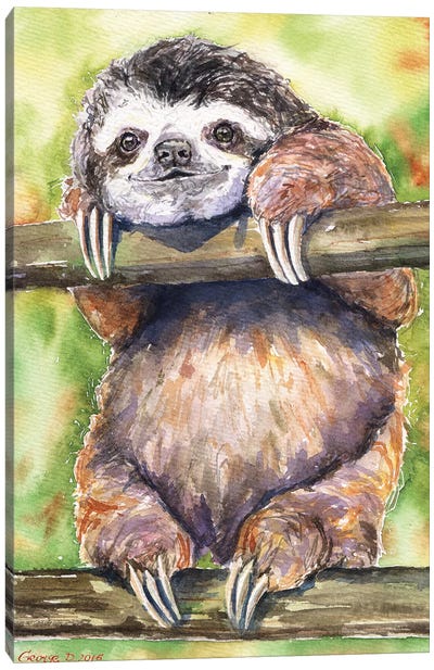 Sloth Canvas Art Print - George Dyachenko