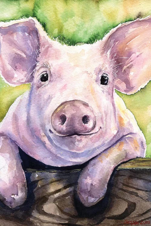 smiling pig