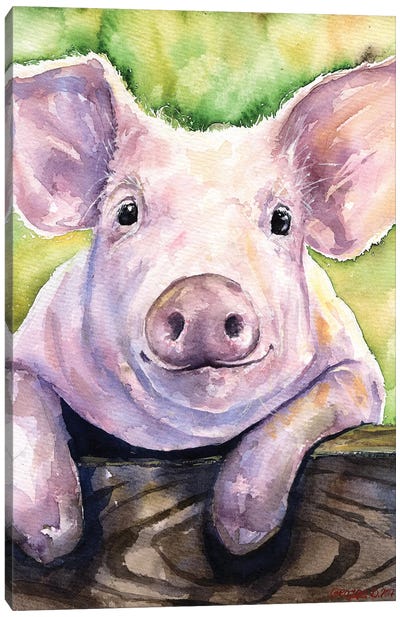 Smiling Pig Canvas Art Print - George Dyachenko