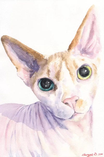 Sphynx Cat by George Dyachenko art print