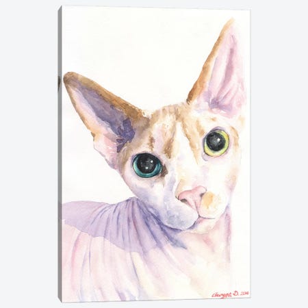 Sphynx Cat Canvas Print #GDY135} by George Dyachenko Canvas Print