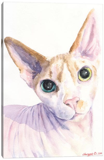 Sphynx Cat Canvas Art Print - Hairless Cats