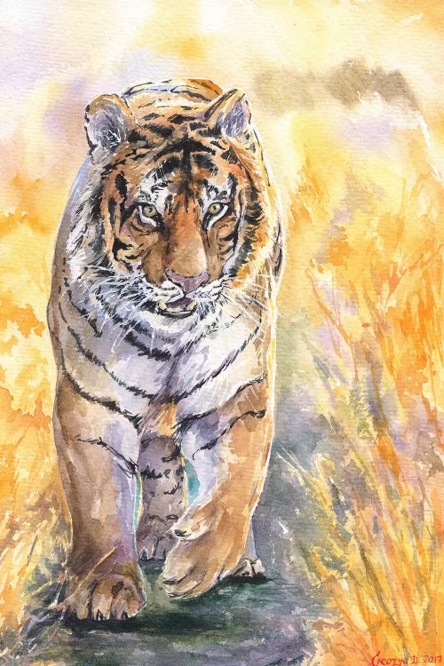 Tiger by George Dyachenko wall art