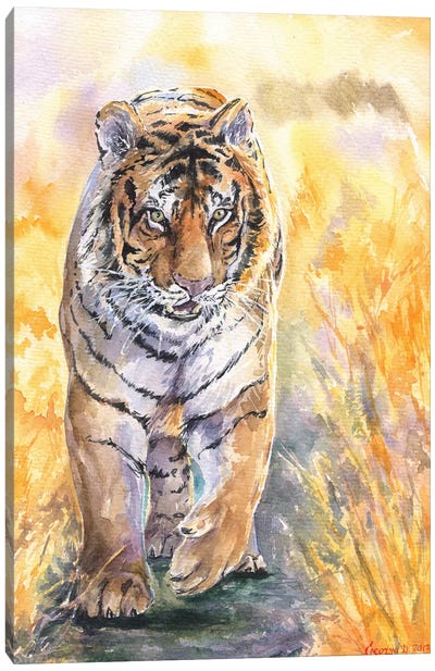 Tiger Canvas Art Print - George Dyachenko