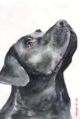 Black Labrador Canvas Wall Art by George Dyachenko | iCanvas