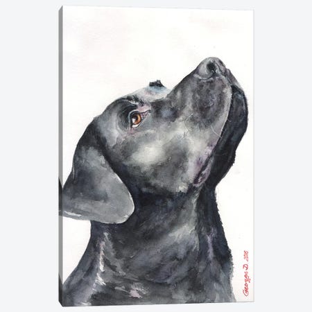 Black Labrador Canvas Print #GDY13} by George Dyachenko Canvas Wall Art