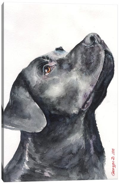 Black Labrador Canvas Art Print - George Dyachenko