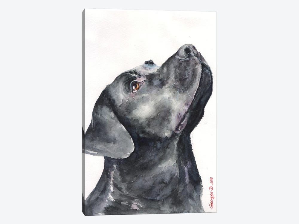 Black Labrador by George Dyachenko 1-piece Canvas Artwork