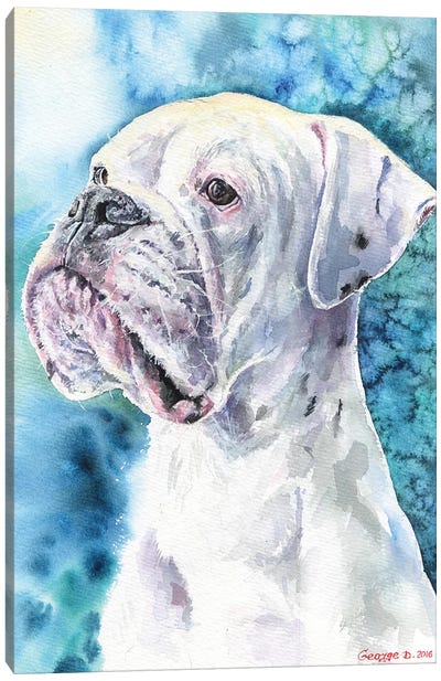 White Boxer Canvas Art Print - Pet Industry