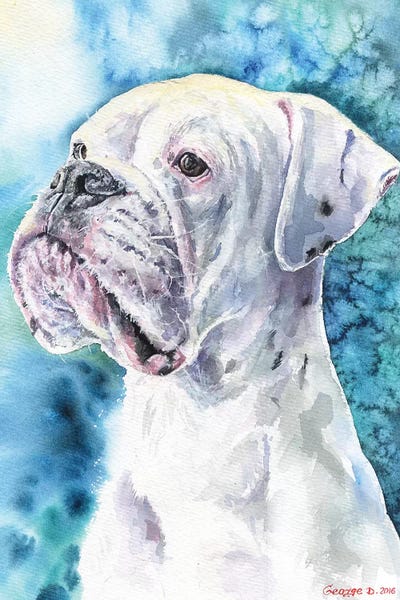 Boxers: White Boxer by George Dyachenko