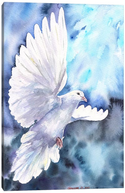 White Dove Canvas Art Print - Blue & White Art
