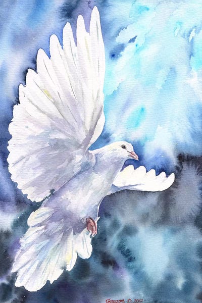 Doves & Pigeons: White Dove by George Dyachenko