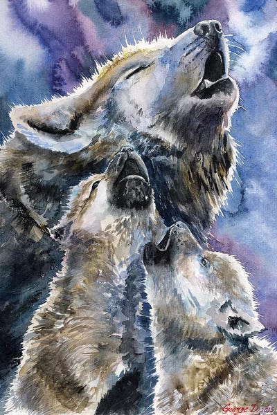 Wolf Family