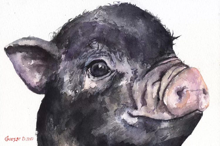 Black Piggy by George Dyachenko wall art