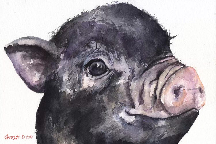 Black Piggy