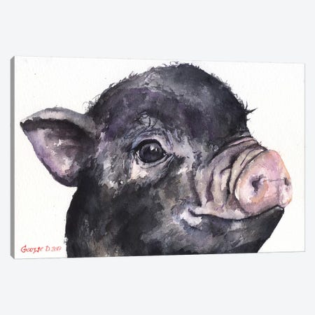 Black Piggy Canvas Print #GDY14} by George Dyachenko Canvas Print