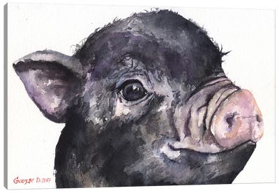 Black Piggy Canvas Art Print