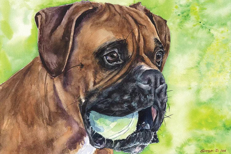 Boxer And Ball by George Dyachenko wall art
