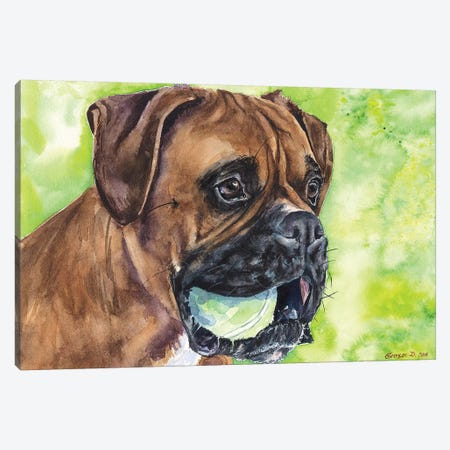 Boxer And Ball Canvas Print #GDY152} by George Dyachenko Canvas Artwork