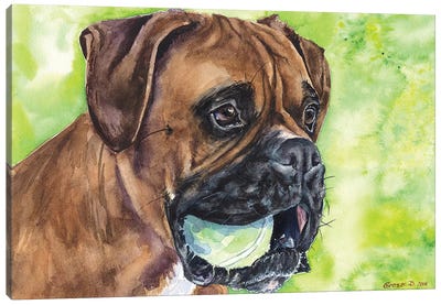 Boxer And Ball Canvas Art Print - George Dyachenko
